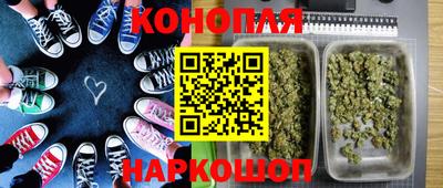 стаф Будённовск