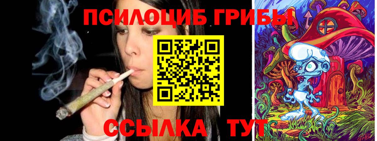 купить   Вход с VPN  Сафоново  Галлюциногенные грибы ЛСД 